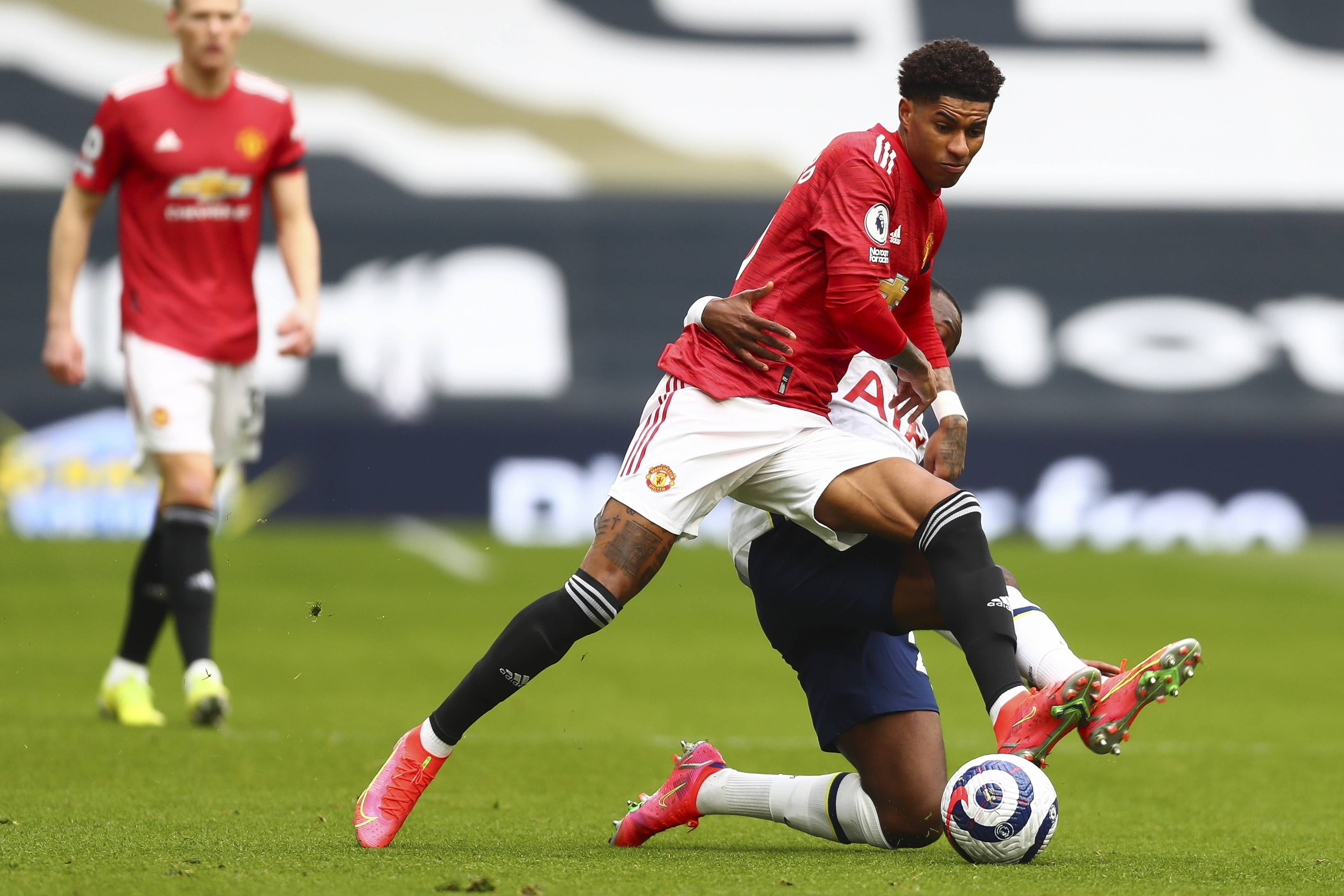 皇家社会的 皇家社会的