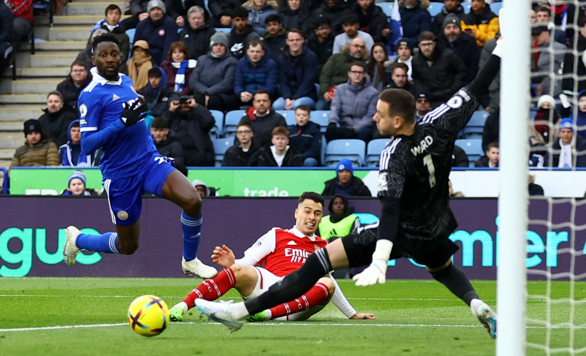 导盲犬不仅 导盲犬不仅